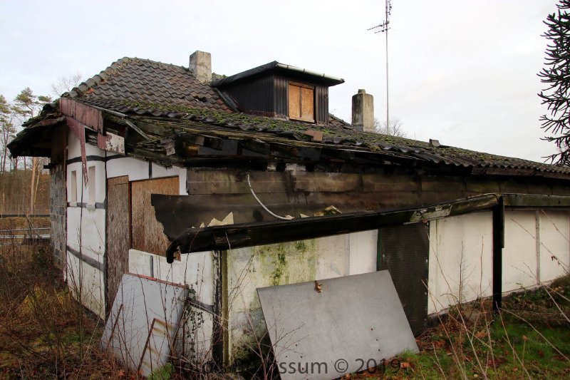 The collapsing roof and overgrown annex, 2019