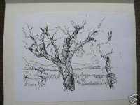 Peter Schmalschläger